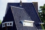 De kap van het deel aan de Rijksweg.
<br/>
Gert-Jan Lobbes, 2019